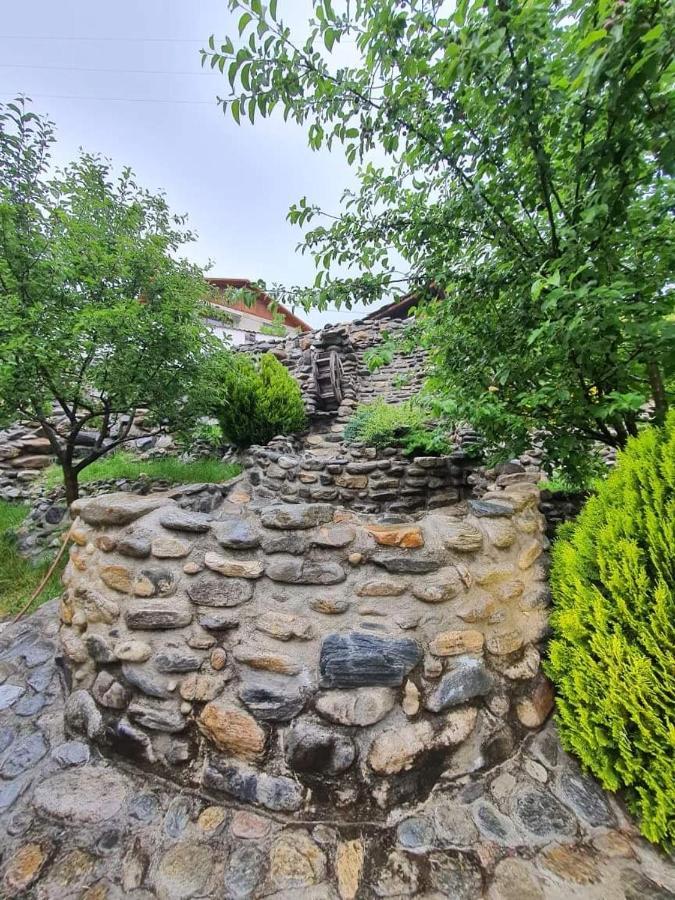 Къща Дьовлень/House Dyovlen Hotel Devin Buitenkant foto